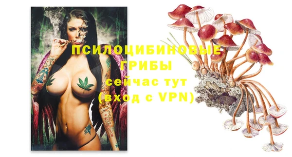 винт Кинешма